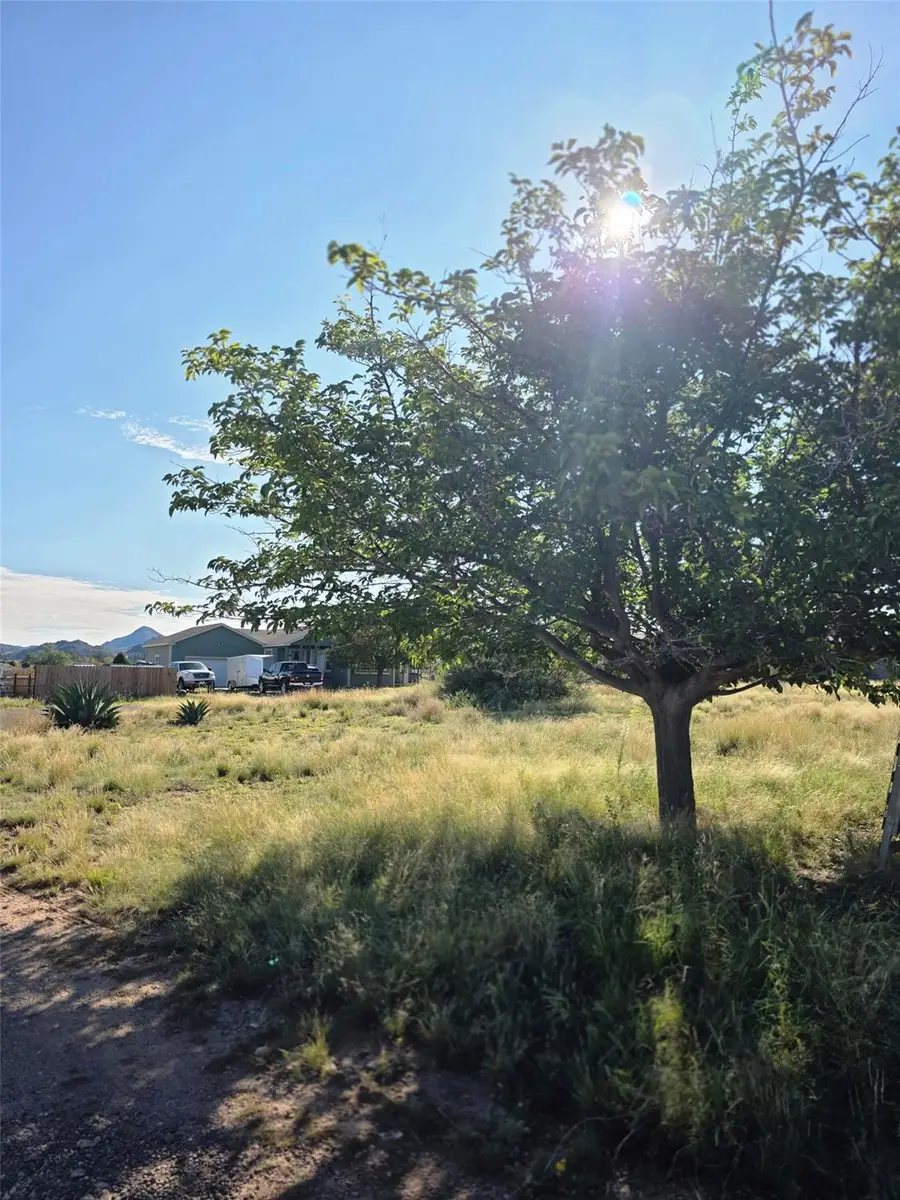 2407 Covey Ln, Alpine, TX 79830 - #3