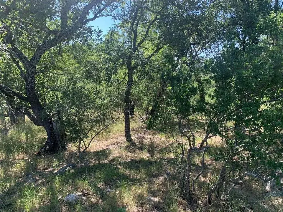 702 Deep Shadows Dr, Horseshoe Bay, TX 78657 - #1