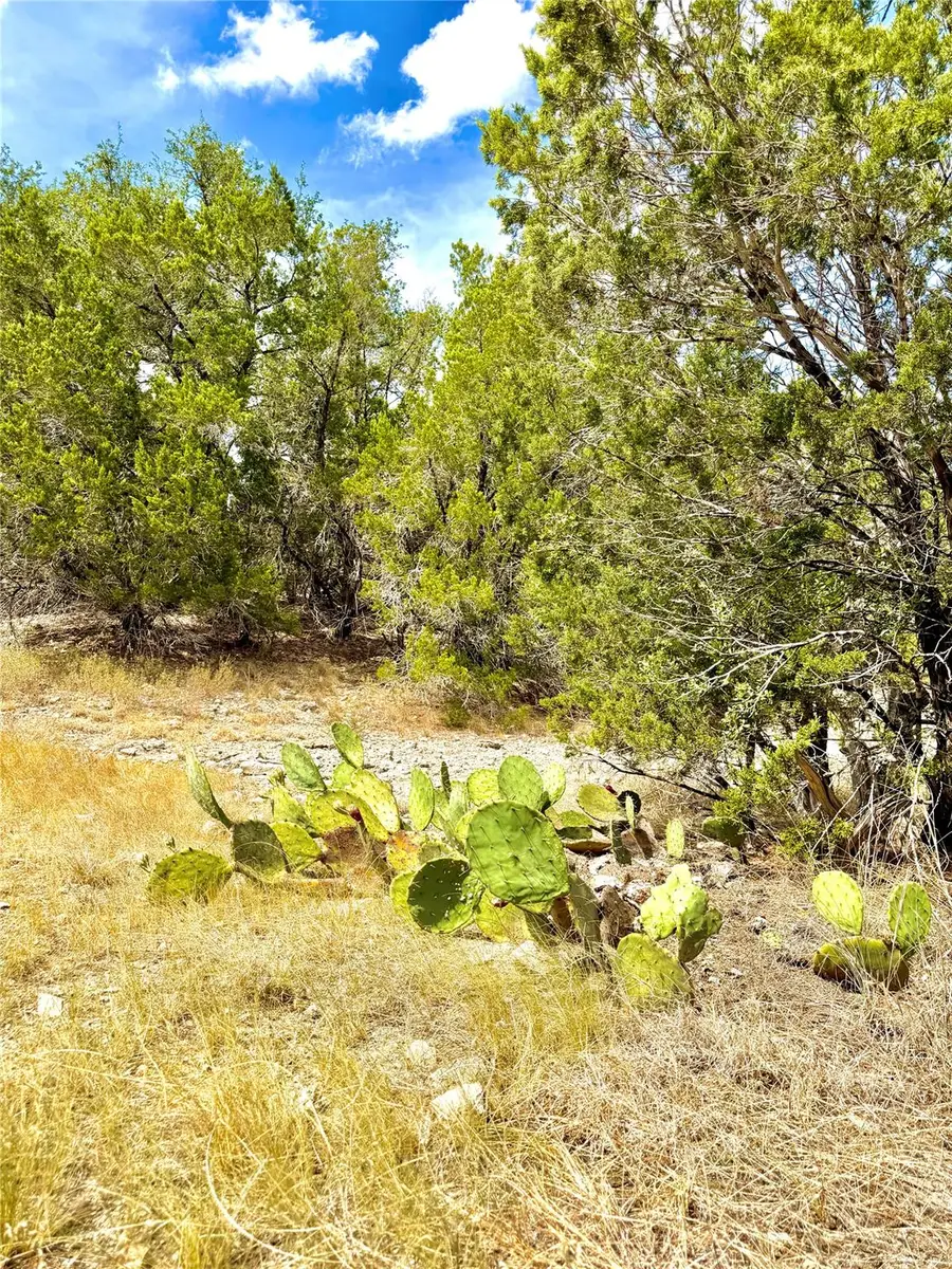 2519 George Pass, Canyon Lake, TX 78133 - #3