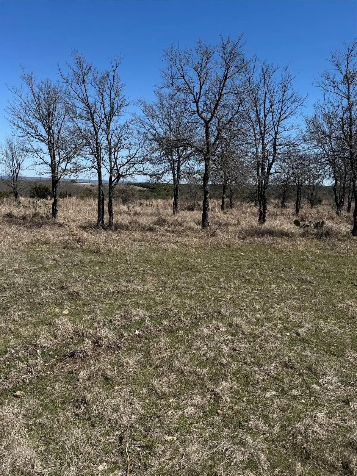 Shooting Star Lot 28 ., Lometa, TX 76853 - #1