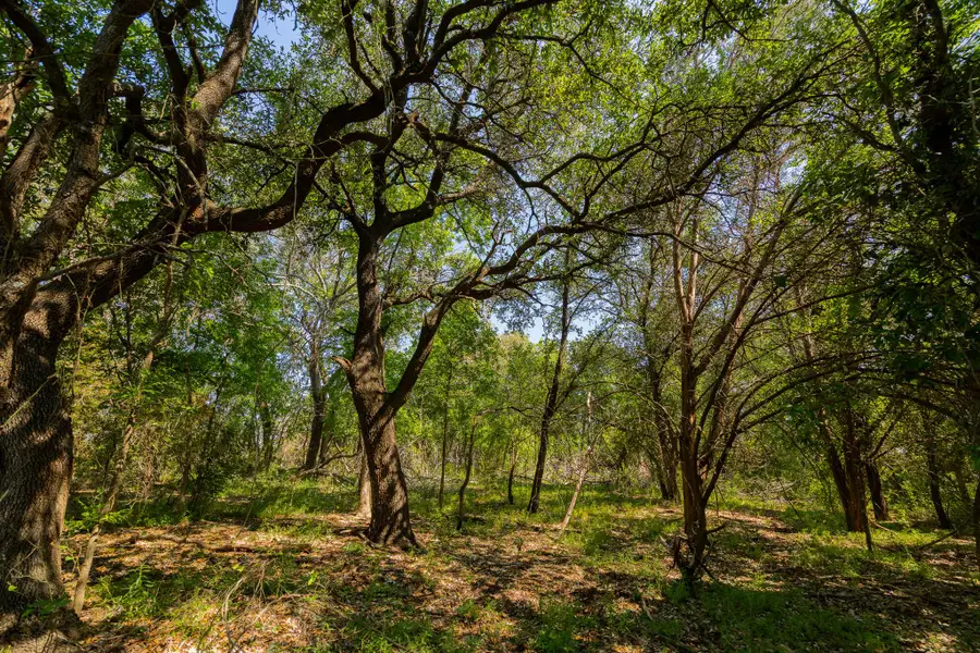 TBD County Road 180 Mesquite Hollow Ranch Rd, Purmela, TX 76566 - #3
