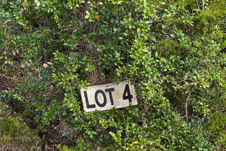 1720 Demi John Bend Rd, Canyon Lake, TX 78133 - #2