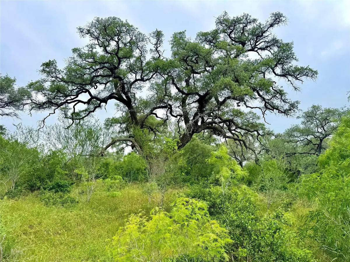 TBD Tract Q Fm 108, Smiley, TX 78159 - #1