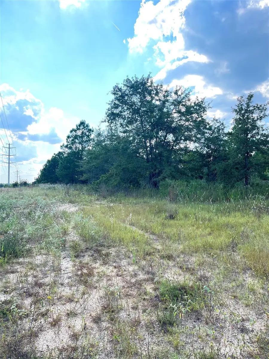 TBD Ponderosa Loop, Paige, TX 78659 - Image #3