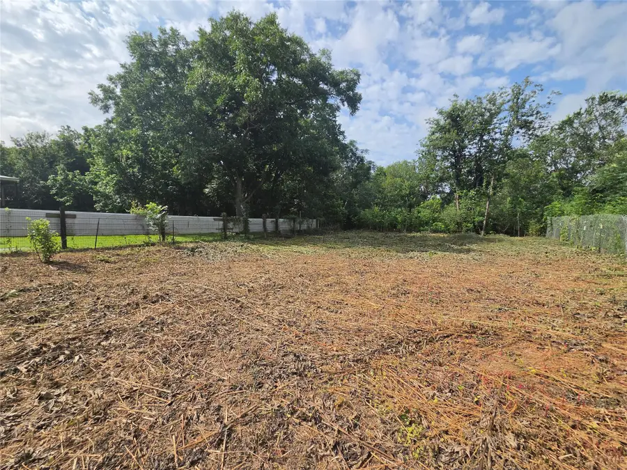 327 Houston Elgin, Tx 78621 St, Elgin, TX 78621 - #3