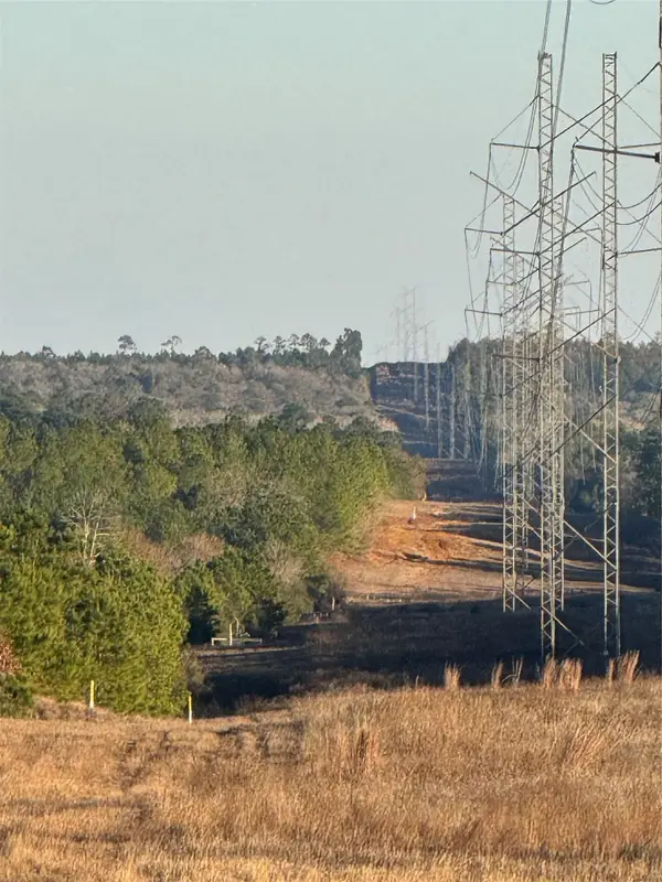 TBD Hwy 21 East Highway, Bastrop, TX 78602