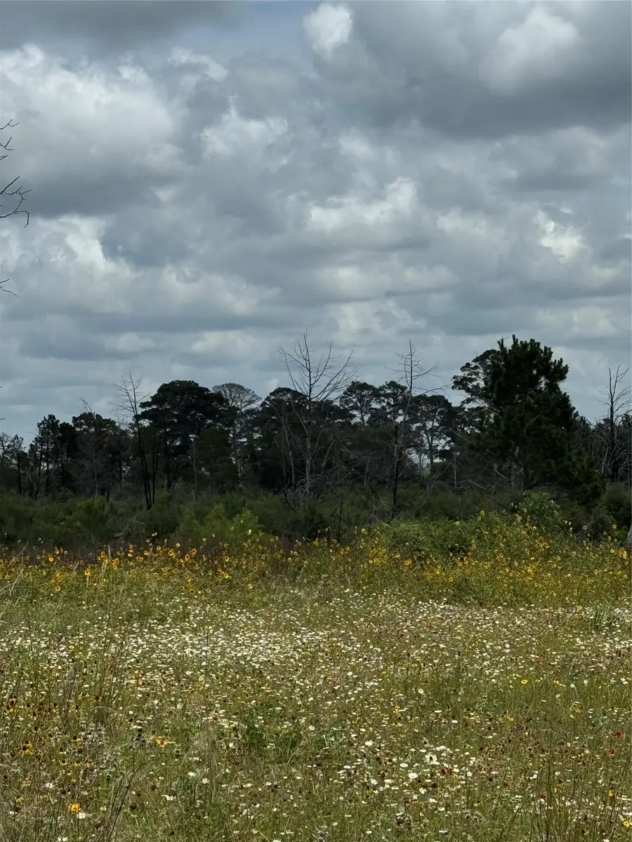 TBD Hwy 21 East Highway, Bastrop, TX 78602 - #2
