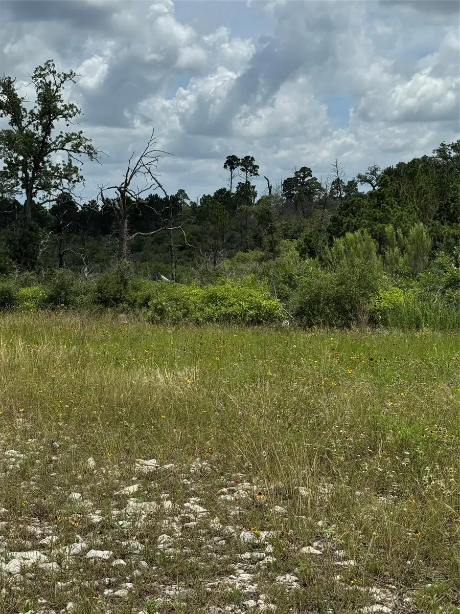 TBD Hwy 21 East Highway, Bastrop, TX 78602 - #3