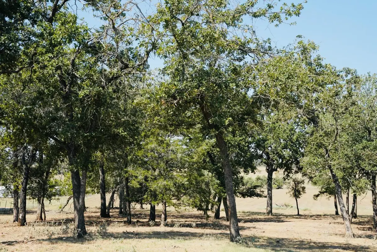 640 County Road 475 Rd, Luling, TX 78648 - Image #1