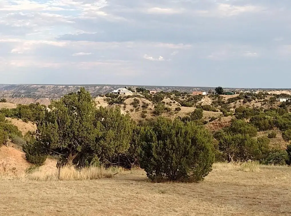 10500 Indian Camp Trl, Canyon, TX 79015 - Image #1
