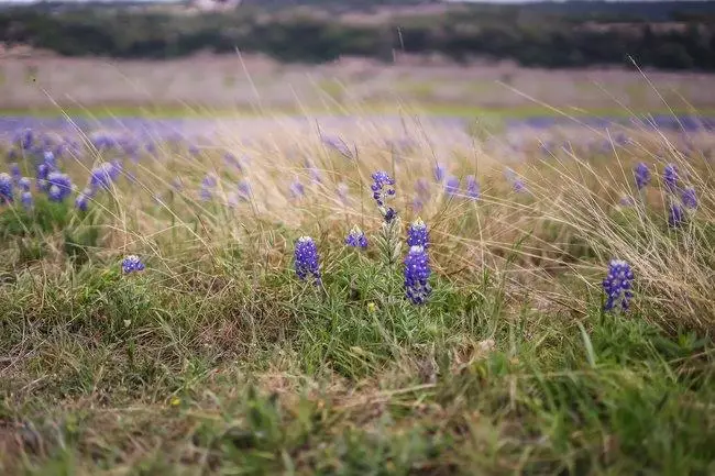 00 Wesley Ridge Dr, Spicewood, TX 78669 - #2