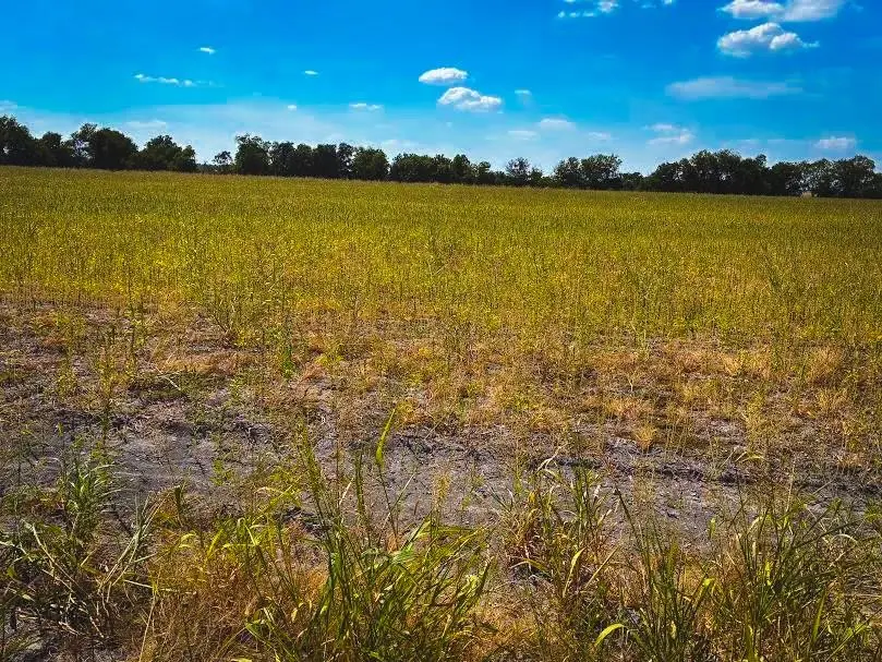 CR 3061 Lot 2 Highway, Thorndale, TX 76577 - #2