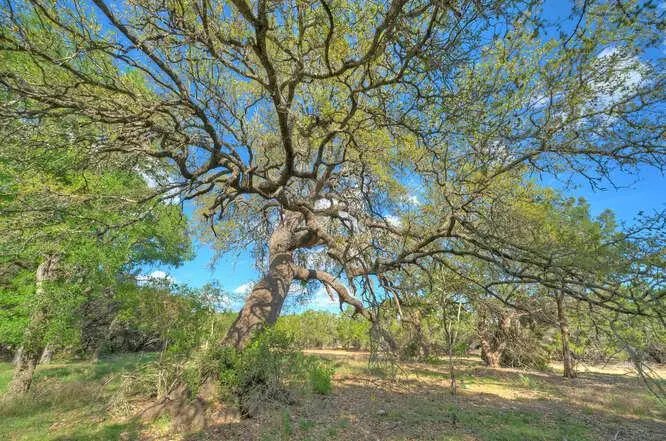 Star Gazer Lot 8 Stargazer Dr, Lampasas, TX 76550 - #1