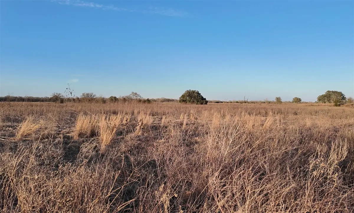 TBD (Tract 5) Cr 119, Ledbetter, TX 78946 - Image #1