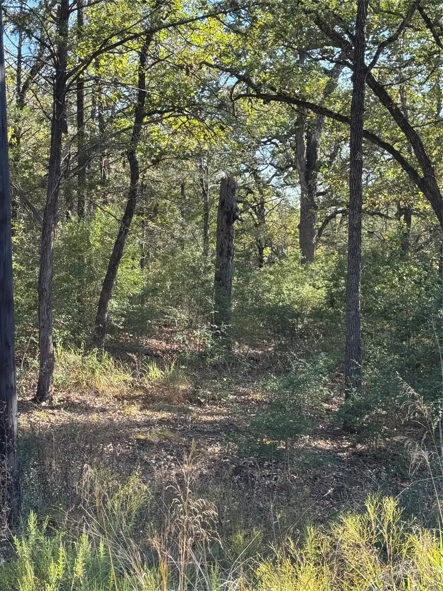 Lot 130 Wailupe Cir, Bastrop, TX 78602 - #2