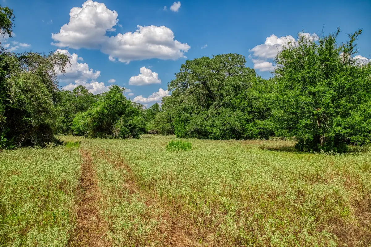 8595 County Road 324, Caldwell, TX 77836 - Image #1