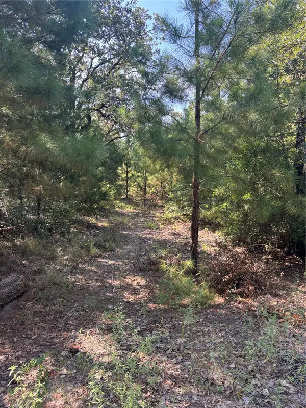 667 Paint Creek South Rd, Paige, TX 78659