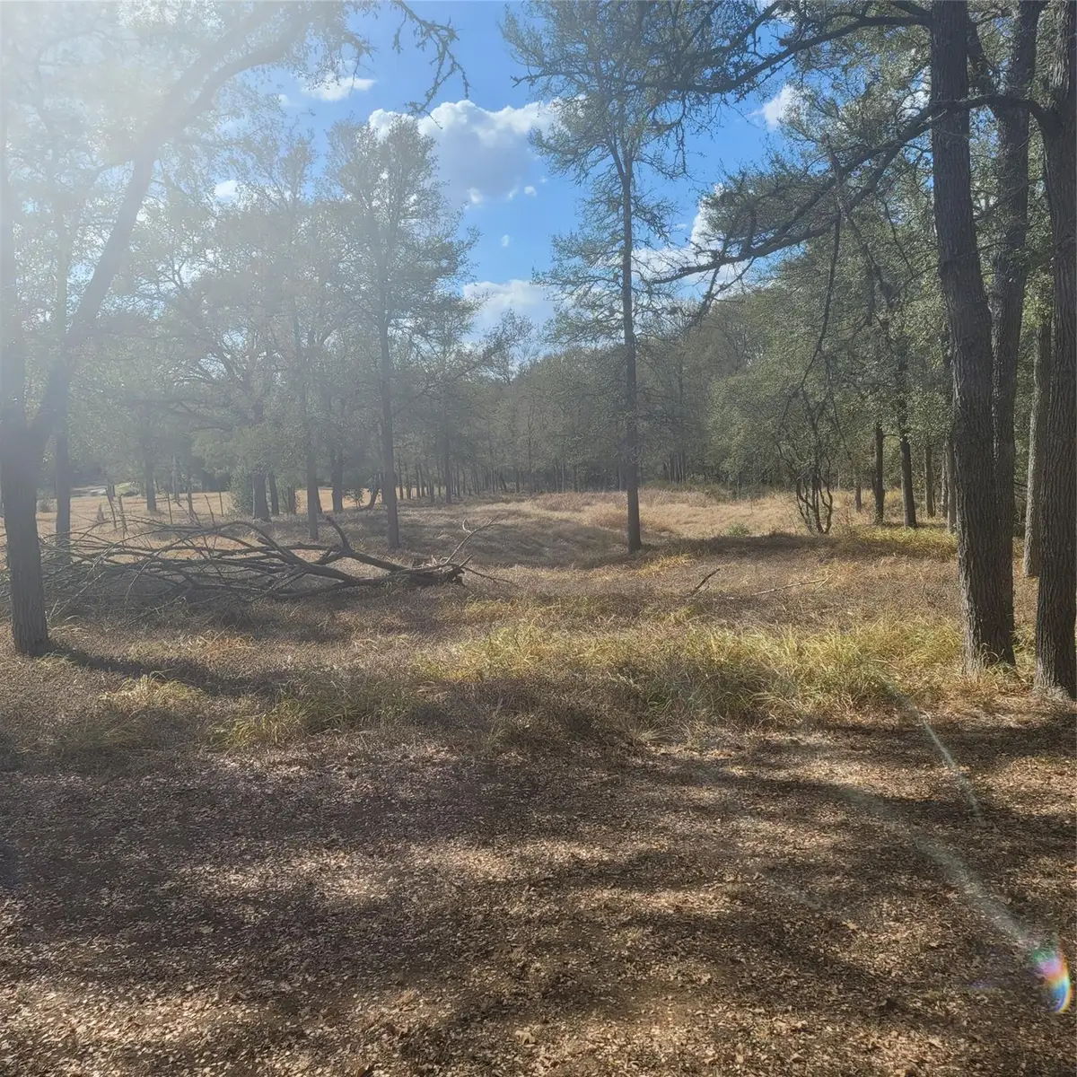 2492 Fm 1704, Elgin, TX 78621 - Image #1