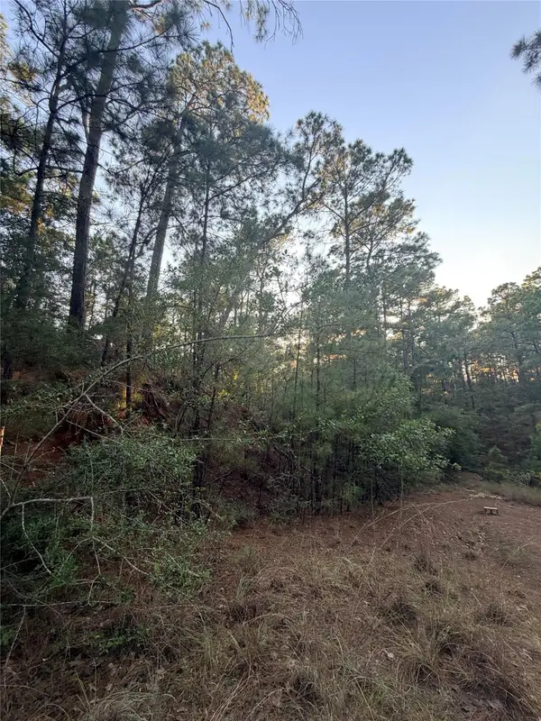 TBD Okoe Ct, Bastrop, TX 78602