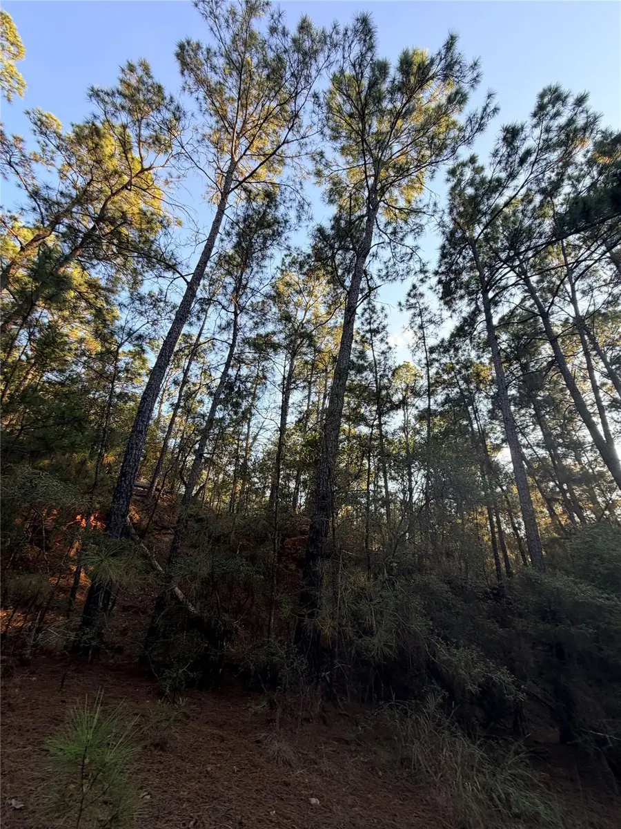 TBD Okoe Ct, Bastrop, TX 78602 - #3
