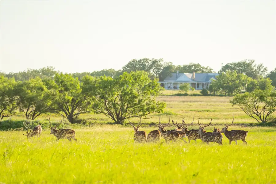 0 County Road 476 Rd, Brady, TX 76872 - #2