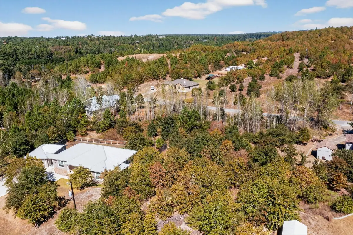 401 Kaanapali Ln, Bastrop, TX 78602 - #1