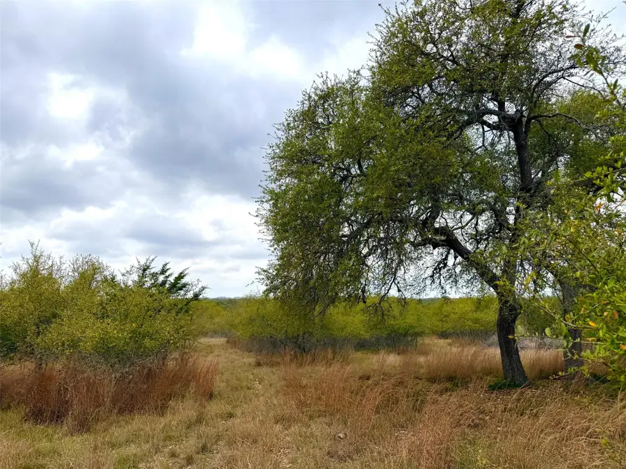 103 Ira Long, Blanco, TX 78606 - #2