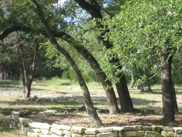 6717 Bar K Clubhouse Ct, Lago Vista, TX 78645 - #3