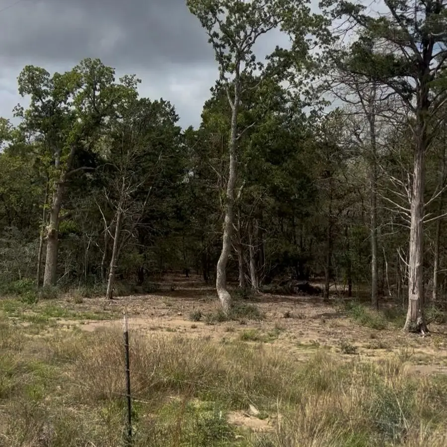 Lot 1 South Old Potato Rd, Paige, TX 78659 - #3