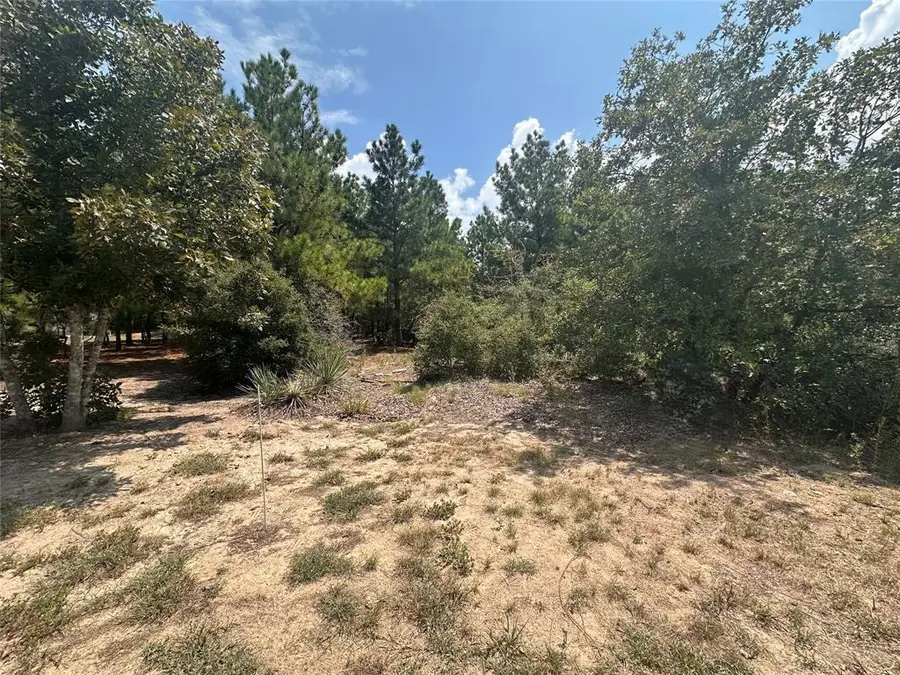 LOT 42 Hereford Ln, Bastrop, TX 78602 - Image #2