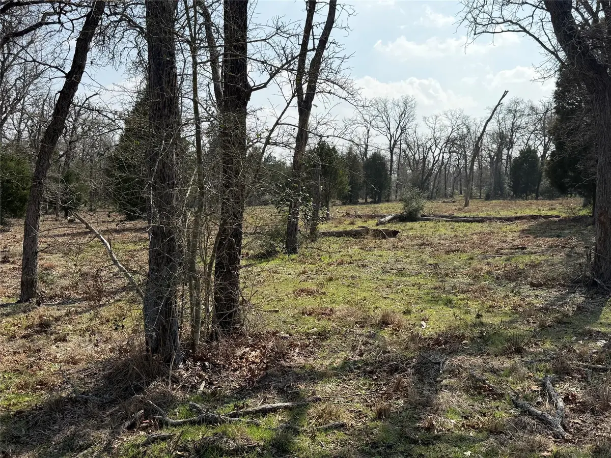 TBD N County Line Rd, Elgin, TX 78621 - #1