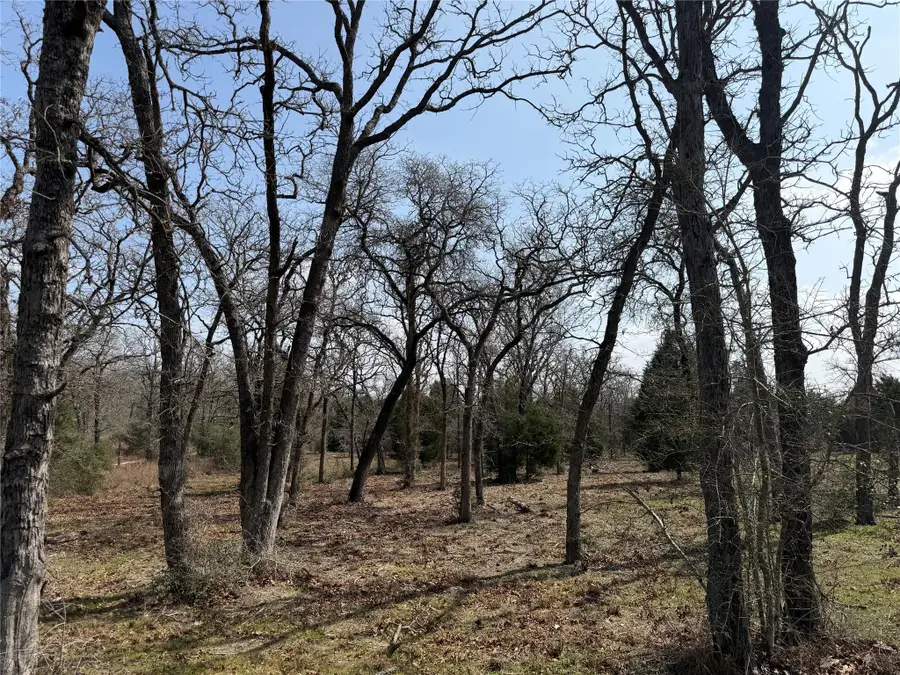 TBD N County Line Rd, Elgin, TX 78621 - #2