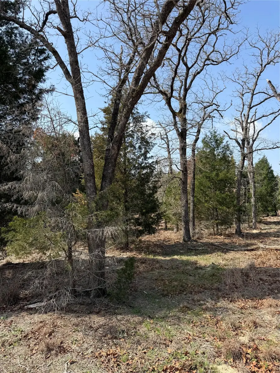 TBD N County Line Rd, Elgin, TX 78621 - #3