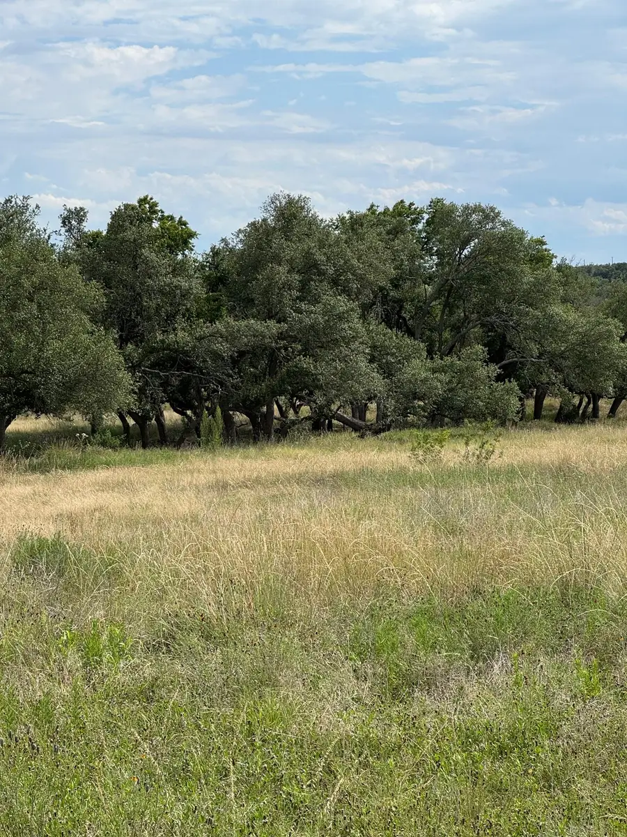 251 Pioneer Trl, Dripping Springs, TX 78620 - #3