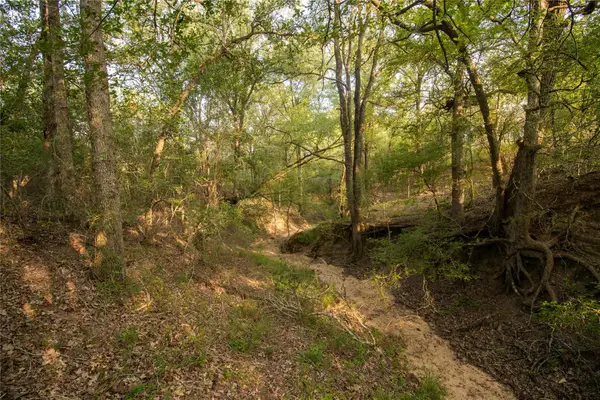 438 Firefly Field Ln, Seguin, TX 78155