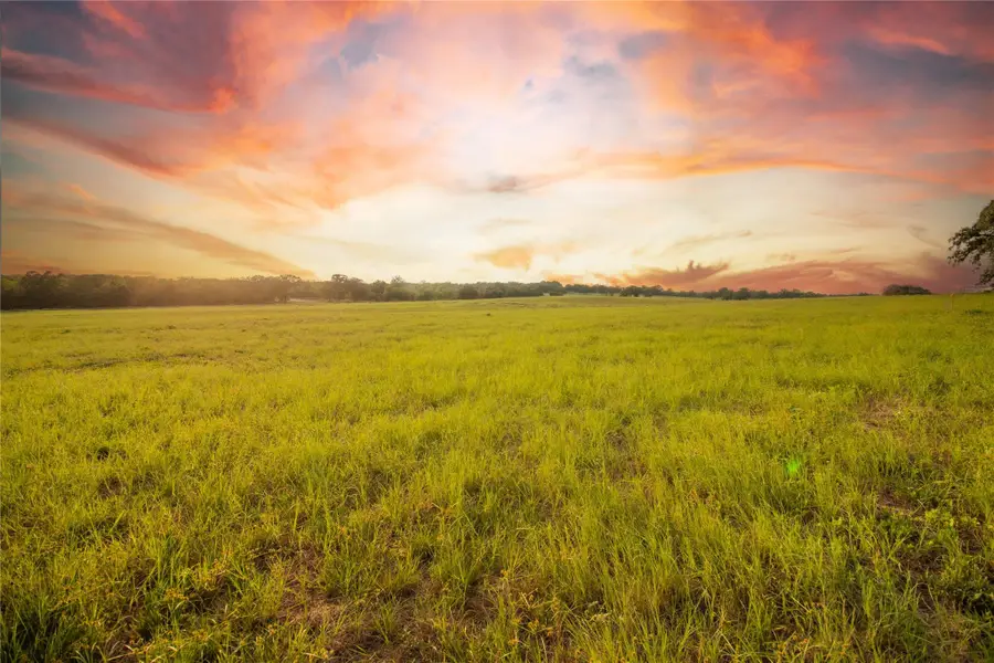 438 Firefly Field Ln, Seguin, TX 78155 - #3