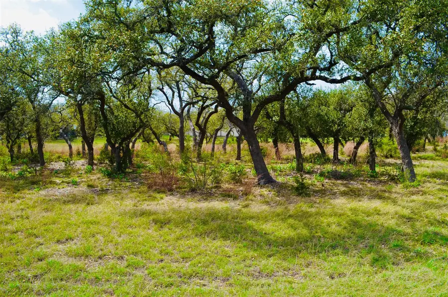 122 Carousel Ln, Driftwood, TX 78619 - Image #2