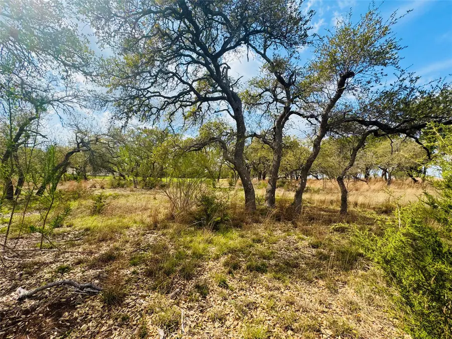 122 Carousel Ln, Driftwood, TX 78619 - Image #3