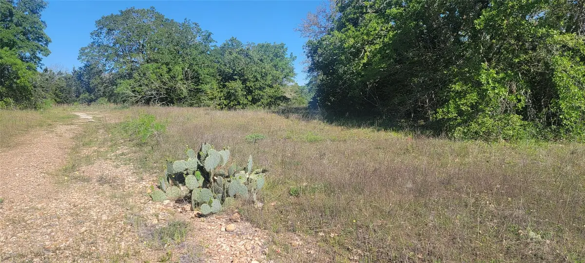 156 Lone Star Cir, Bastrop, TX 78602 - #1