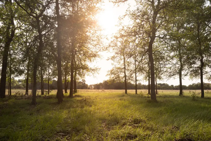 2609 Prochnow Rd, Dripping Springs, TX 78620 - #2