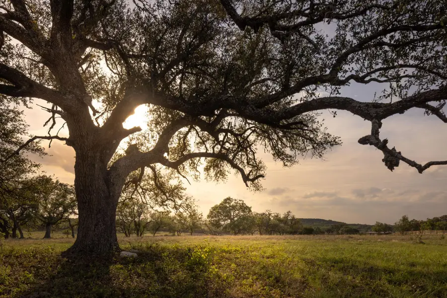 2609 Prochnow Rd, Dripping Springs, TX 78620 - #3