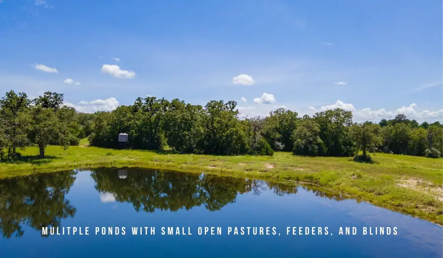 TBD County Road 405 (+/- 839 Acres), Lexington, TX 78947 - #2