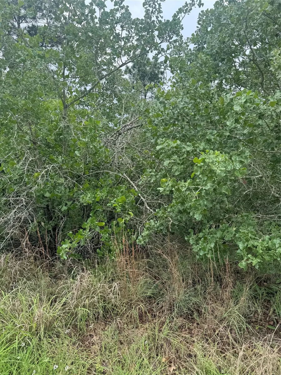 Lot 1613 Kaanapali Ln, Bastrop, TX 78602 - Image #3