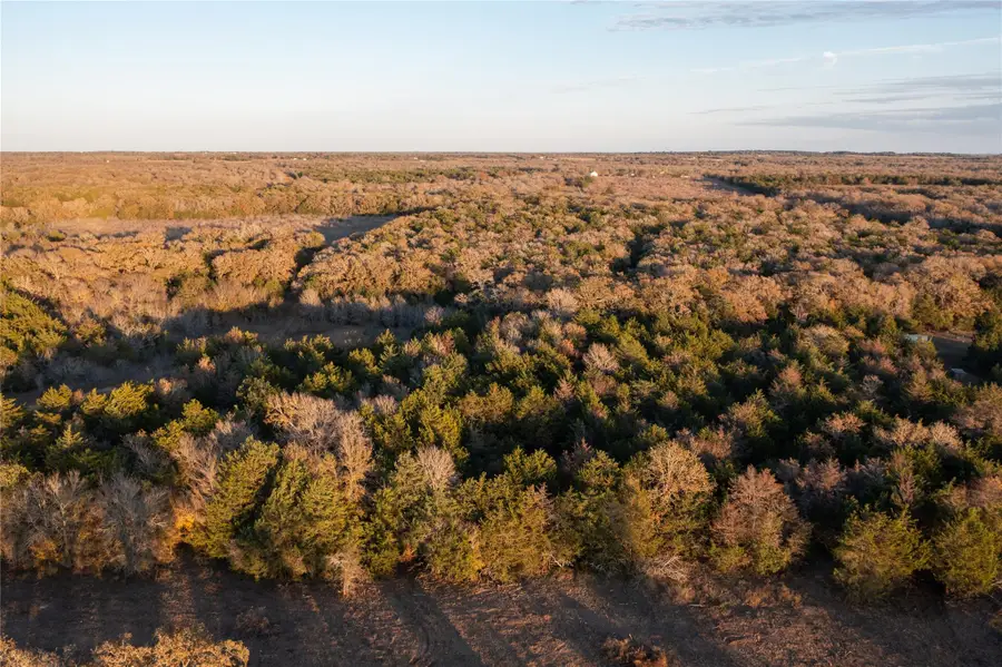 000 TBD 17+/- Ac Grassyville Rd, Paige, TX 78659 - Image #2