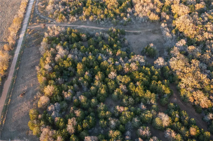 000 TBD 17+/- Ac Grassyville Rd, Paige, TX 78659 - Image #3