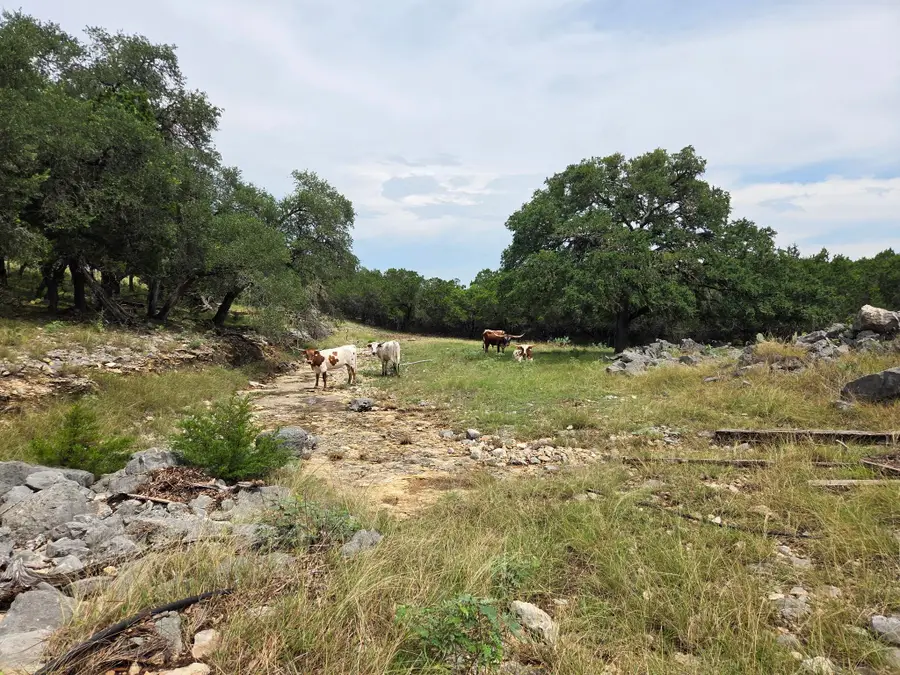 28070 Natural Bridge Caverns Rd, San Antonio, TX 78266 - Image #3