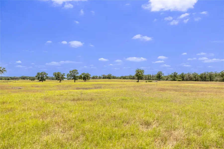 2901-C Mule Creek Rd, Harwood, TX 78632 - #3