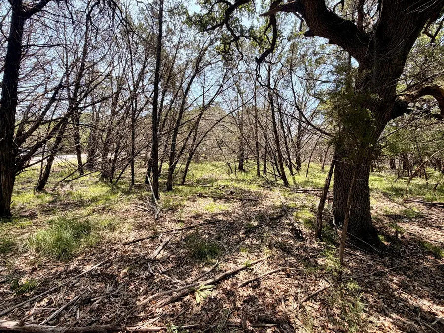 21807 O'henry Ave, Lago Vista, TX 78645 - #3