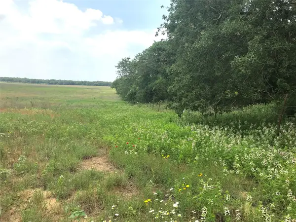 1672 Sayers Rd, Bastrop, TX 78602