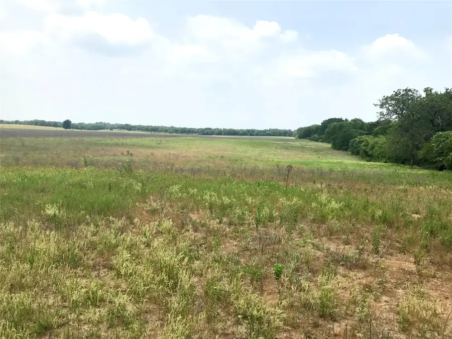 1672 Sayers Rd, Bastrop, TX 78602 - #3